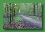Hyacintenjogging (45)